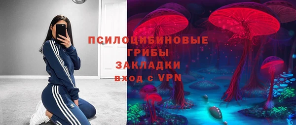 мдпв Липки