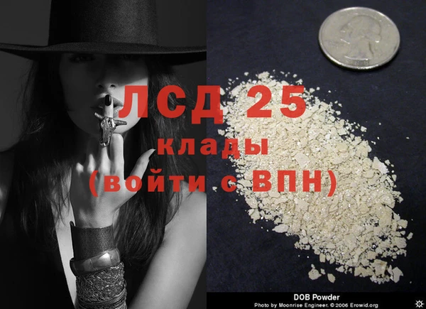 мдпв Липки