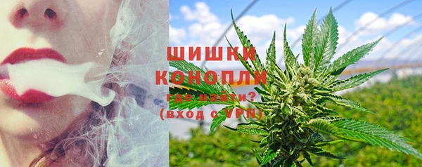 гидра Лиски