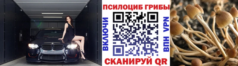 Купить закладки  Куйбышев  Псилоцибиновые грибы Magic Shrooms 